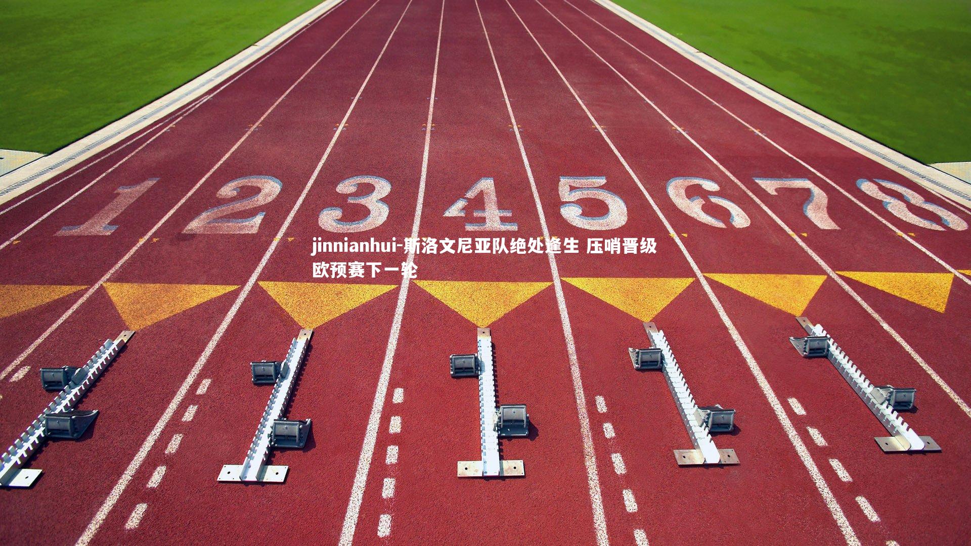 斯洛文尼亚队绝处逢生 压哨晋级欧预赛下一轮