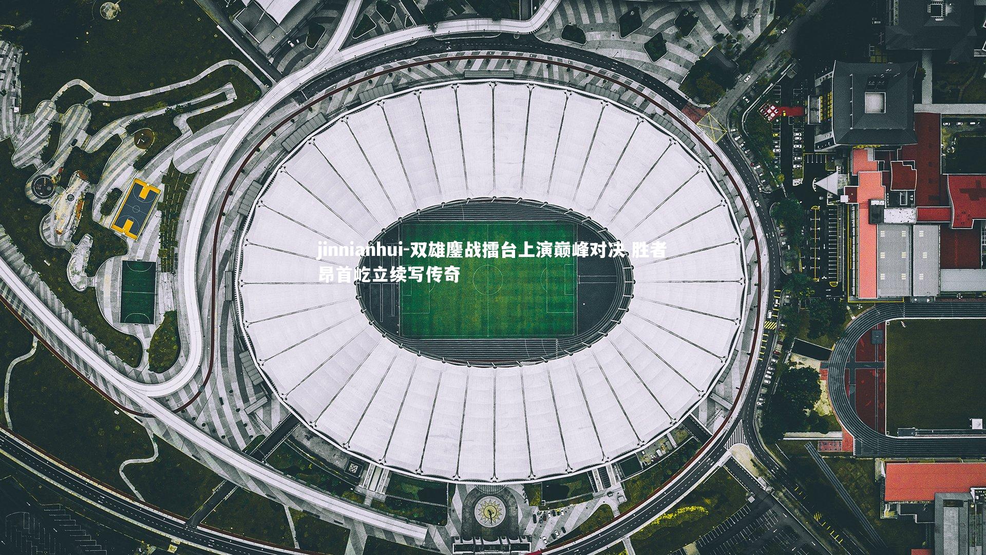 双雄鏖战擂台上演巅峰对决 胜者昂首屹立续写传奇